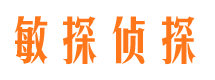 临武调查公司